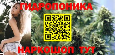 скорость Краснознаменск