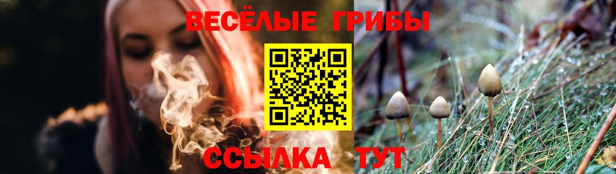 Псилоцибиновые грибы GOLDEN TEACHER  Вход с VPN  Галлюциногенные грибы Psilocybe  Котлас 