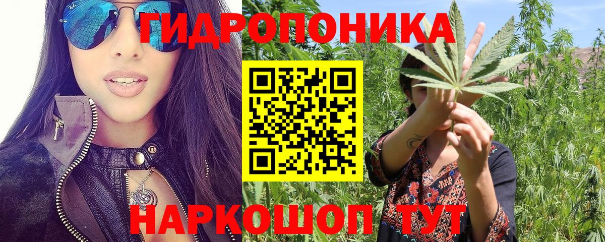 Конопля конопля Котлас